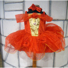 VESTITO DI CARNEVALE